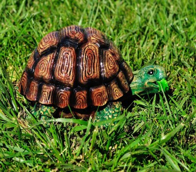 sadovaya-figura-cherepaha-gurman-735966373113733