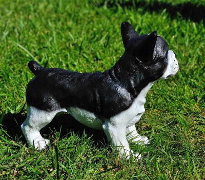 sadovaya-figura-francuzskiy-buldog-b-i-buldog-m-51149154063450