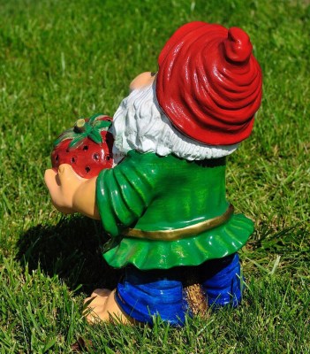 sadovaya-figura-gnom-s-klubnikoy-sr-98896238625138