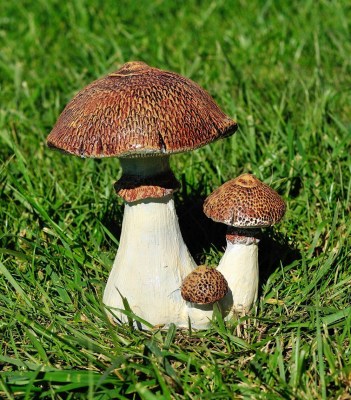 sadovaya-figura-grib-zontik-76361867531684