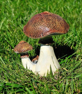 sadovaya-figura-grib-zontik-89599037100668