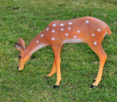 sadovaya-figura-kosulya-pasushchayasya-18406252933631