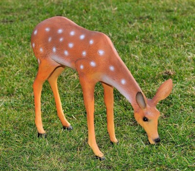 sadovaya-figura-kosulya-pasushchayasya-26622272462571