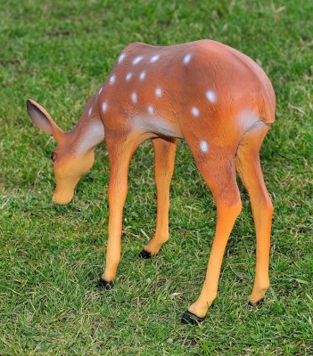 sadovaya-figura-kosulya-pasushchayasya-71348626292238