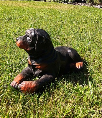 sadovaya-figura-shchenok-rotveylera-33390451989322