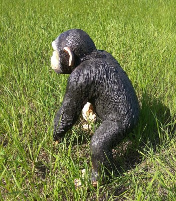 sadovaya-figura-shimpanze-b-660722171311658