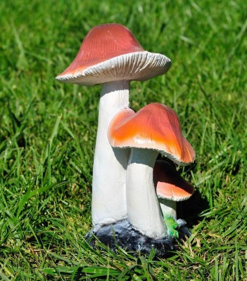 sadovaya-figura-syroezhki-m-15997092154424