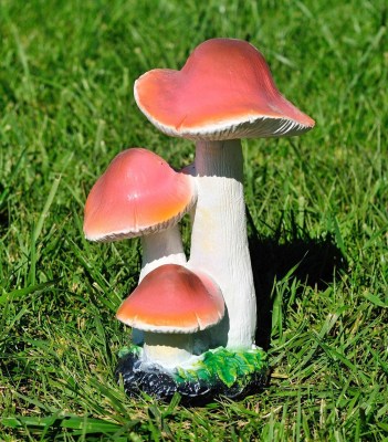 sadovaya-figura-syroezhki-m-57059382272100