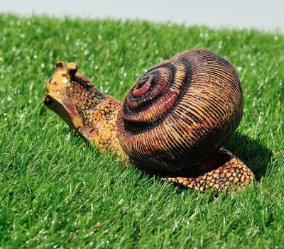 sadovaya-figura-ulitka-m-80724704793848