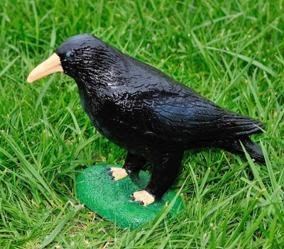 sadovaya-figura-vorona-18256097559065